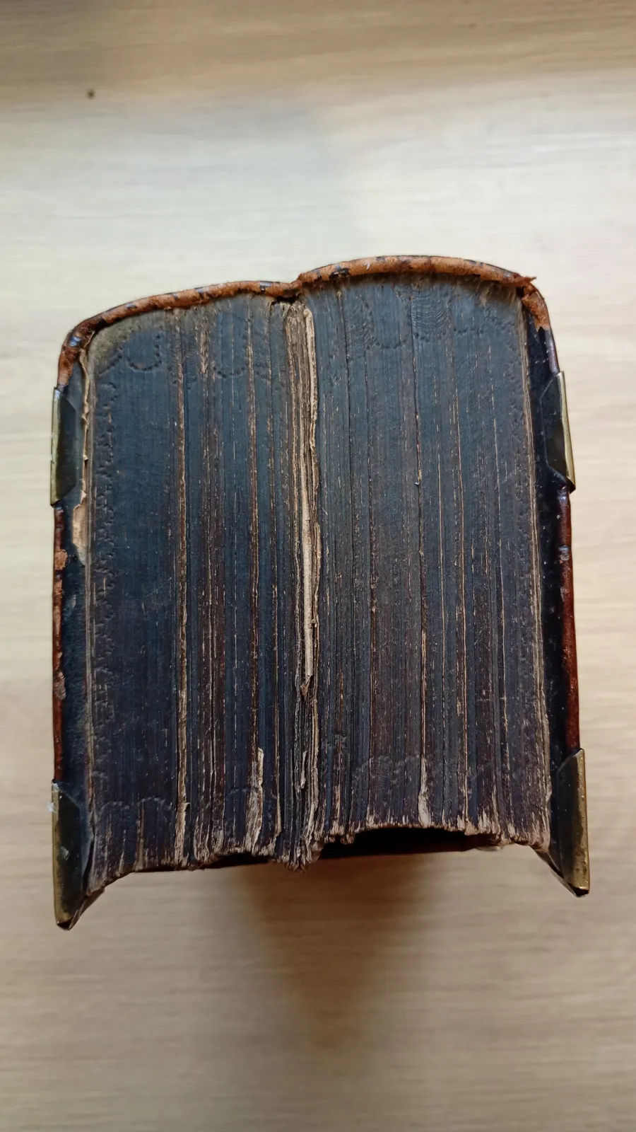 Cithara Sanktorum.Jizí Trzaskowský