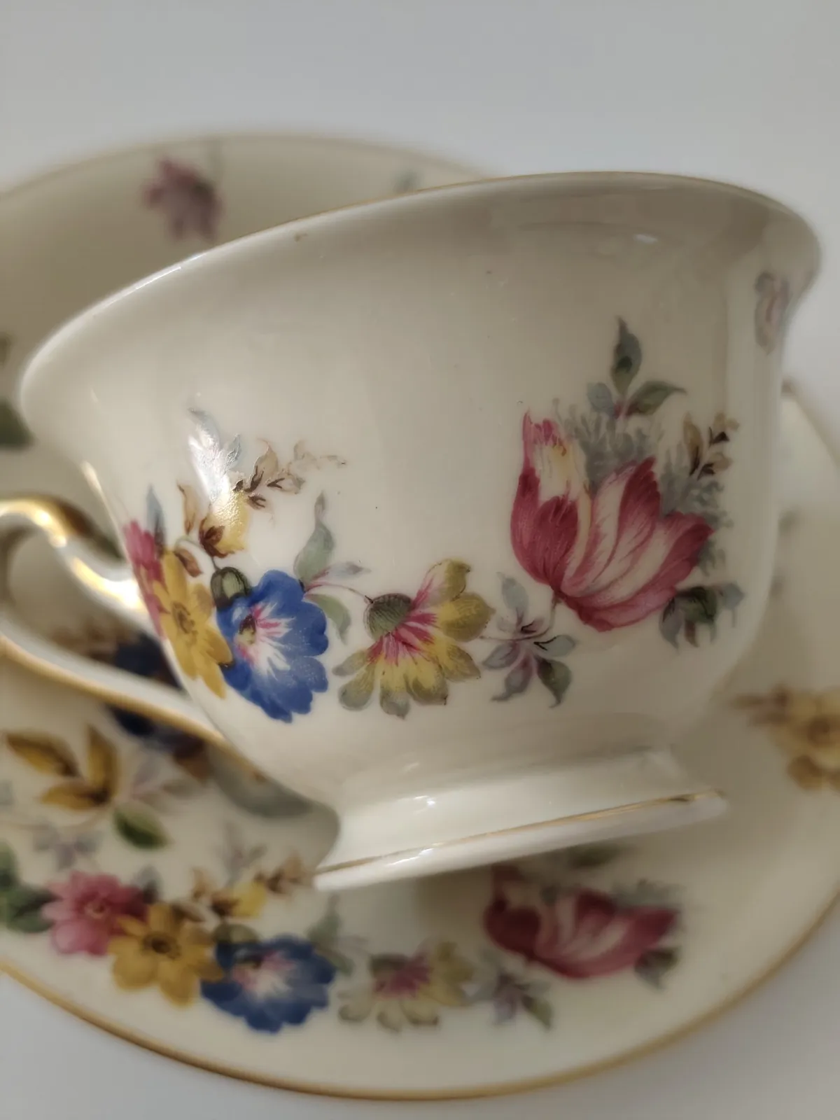 Rosenthal Ivory