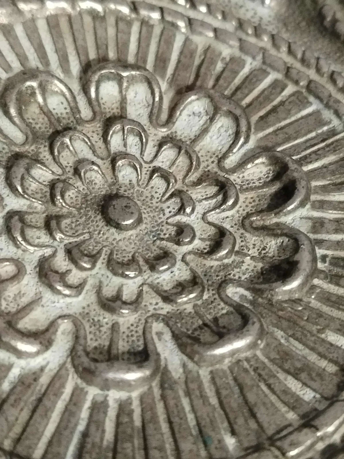 Parasolnik