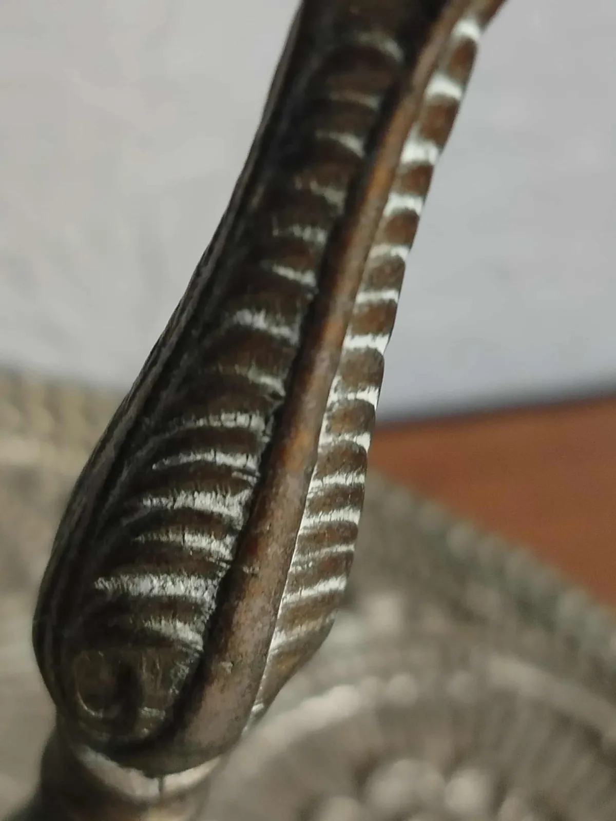 Parasolnik
