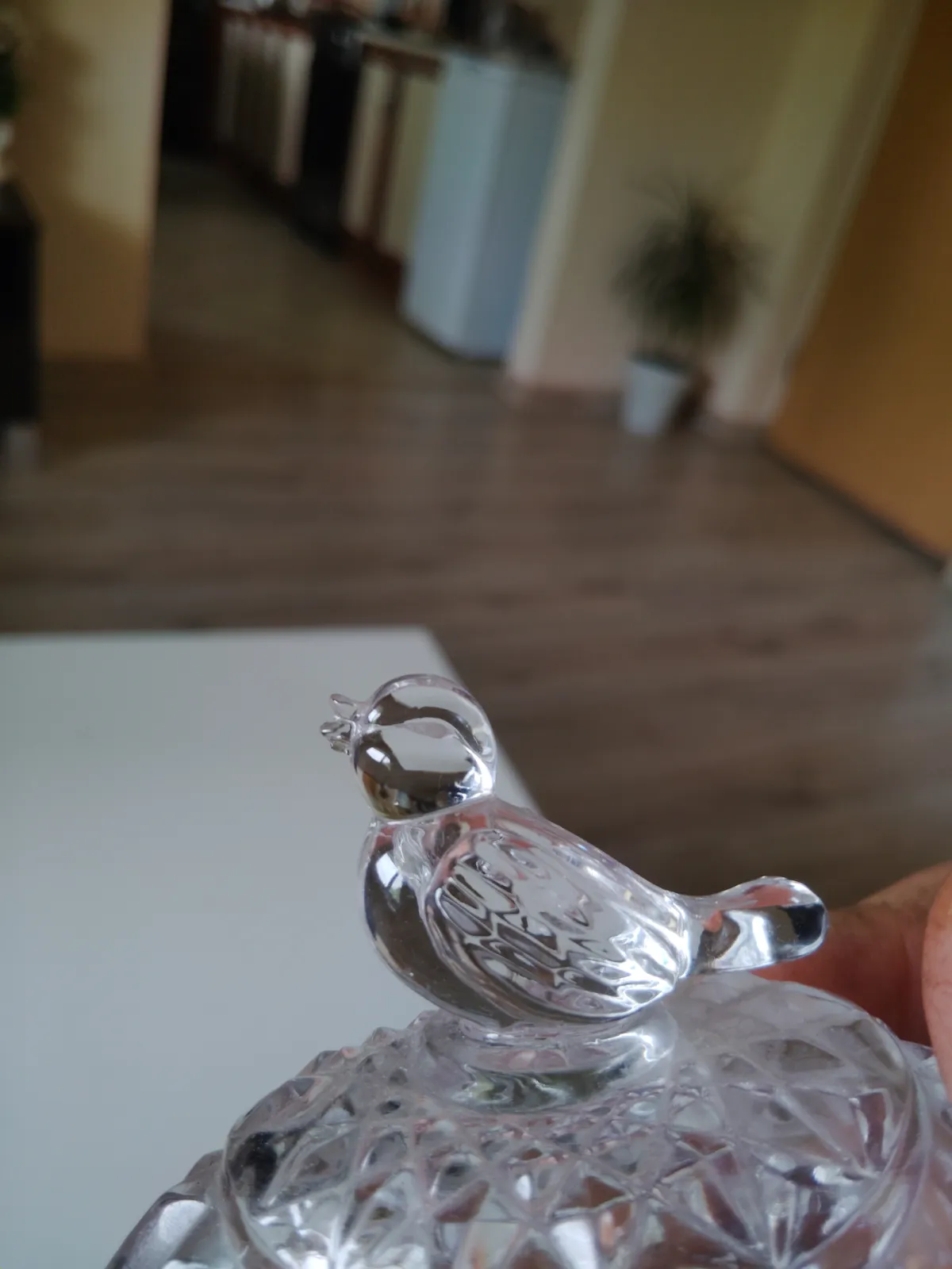 Kryształowa szkatułka Hofbauer Byrdes vintage